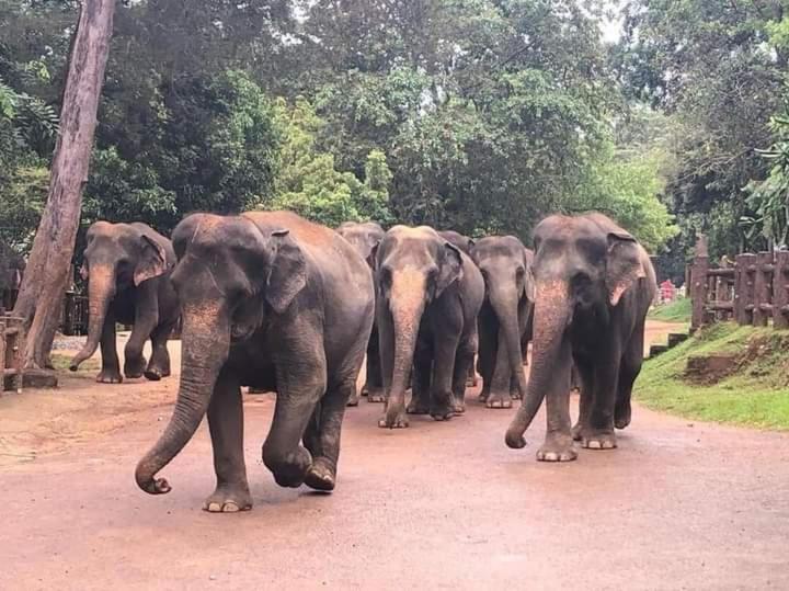 Dinimuthu Rest Inn Wellawaya Luaran gambar
