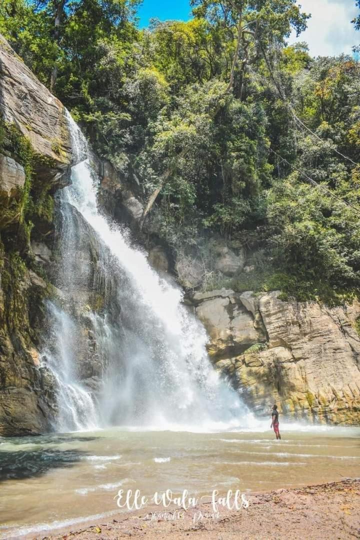 Dinimuthu Rest Inn Wellawaya Luaran gambar