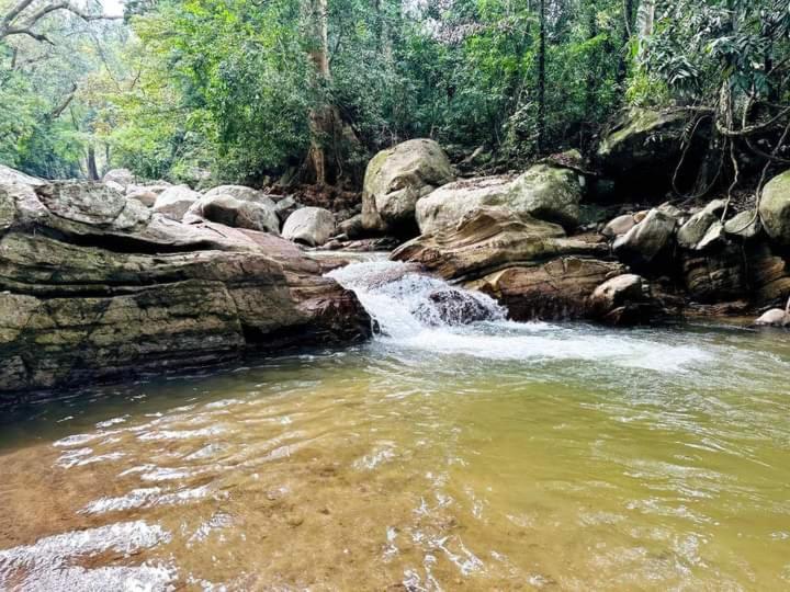 Dinimuthu Rest Inn Wellawaya Luaran gambar
